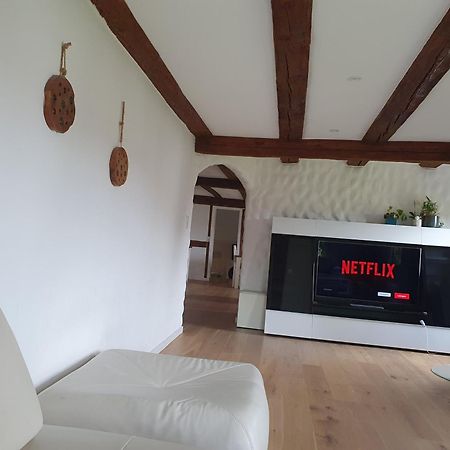 3 Bedroom Swiss House On 3 Floors Oberglatt Cameră foto